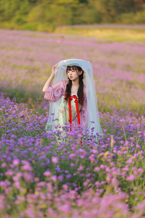 女学生在线观看免费版电视剧